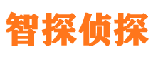 仙游侦探公司